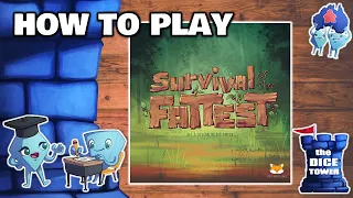 Survival of the Fattest - How to Play Board Game. With Stella & Tarrant