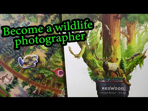 How to play the board game RedWood