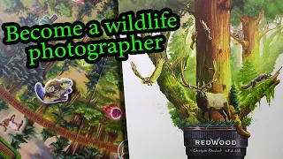How to play the board game RedWood