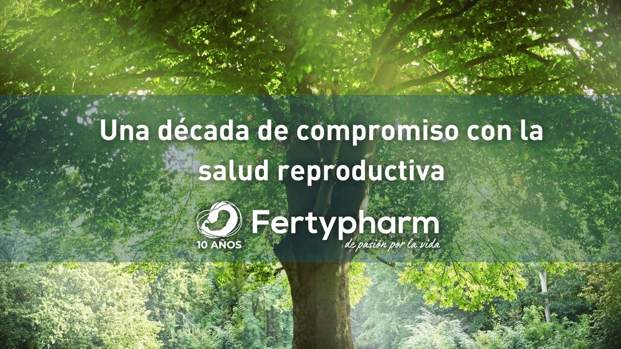Video de innovum