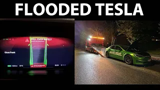 Tesla Model S Plaid was flooded and repaired