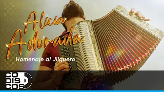 Alicia Adorada, Saxofones & Violines Vallenatos - Vídeo Oficial