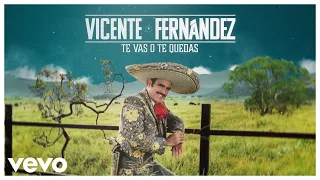 Vicente Fernández - Te Vas o Te Quedas (Video Lyrics)