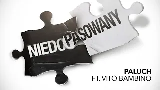 Paluch „NIEDOPASOWANY” ft. Vito Bambino