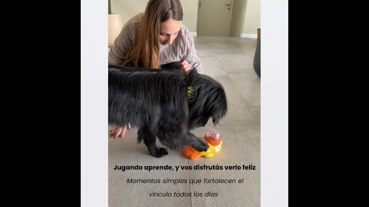 Video de QUETENA