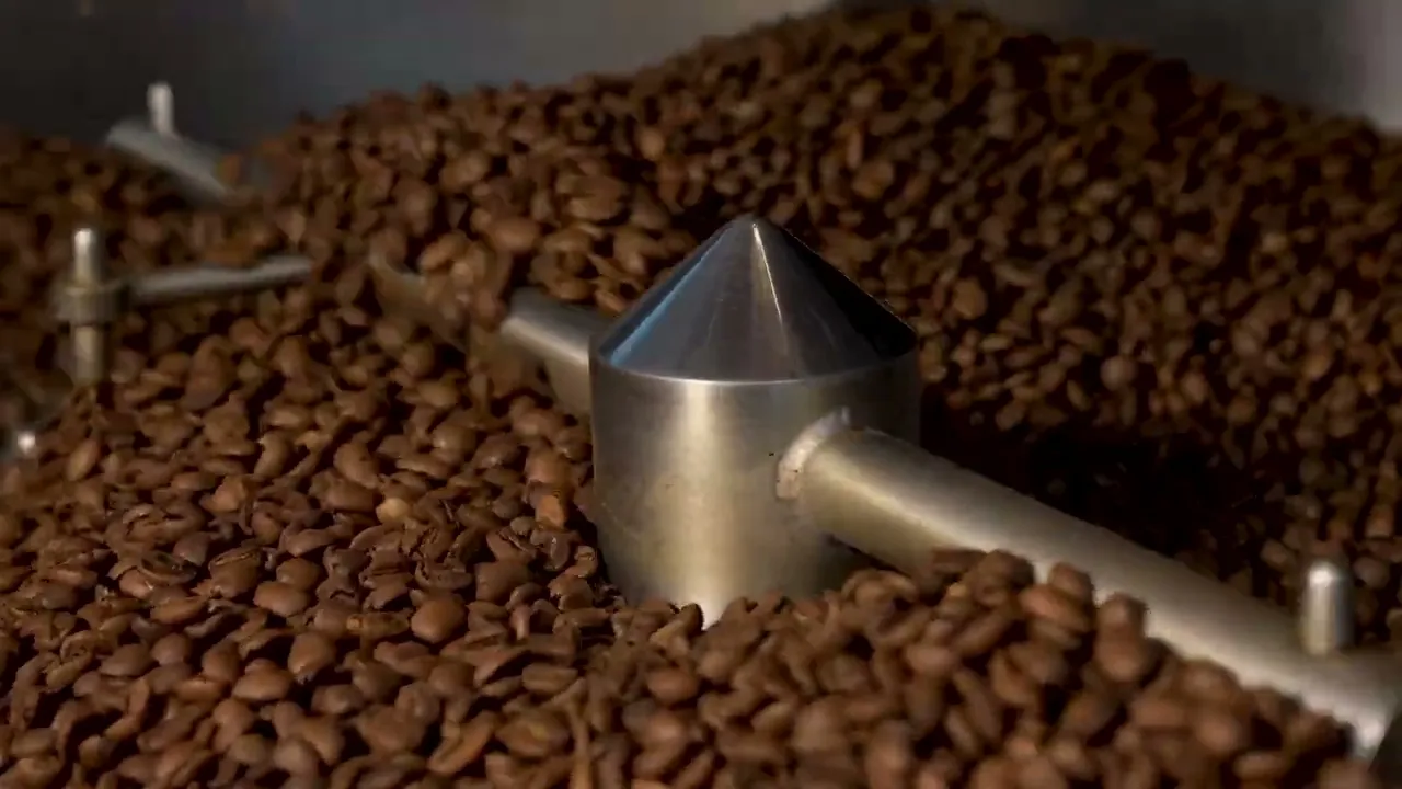 Video de Roaster Registrado