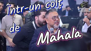 ❎️SORINEL PUSTIU❎️INTR UN COLT DE MAHALA❎️SISTEM 2025❎️BOTEZ AIMEE❎️