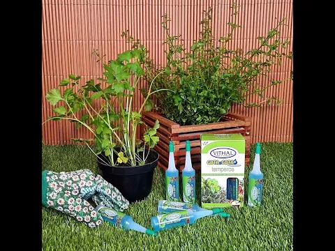 Fertilizante Vithal Gota a Gota Para Temperos com 6 Ampolas de 32ml Cada