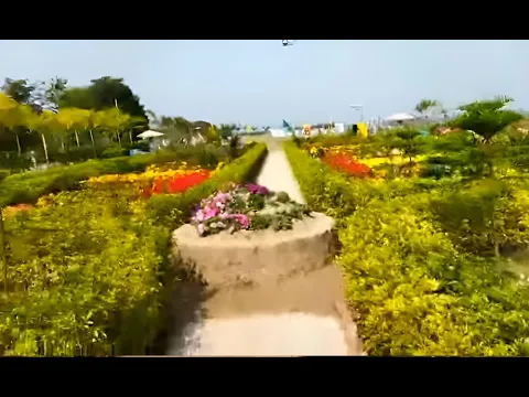 youtube-video-thumbnail