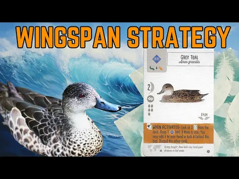 Is Grey Teal One of the Best Cards in the Wingspan Oceania Expansion?