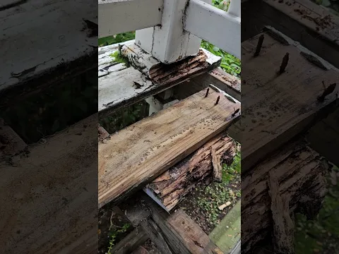 youtube-video-thumbnail