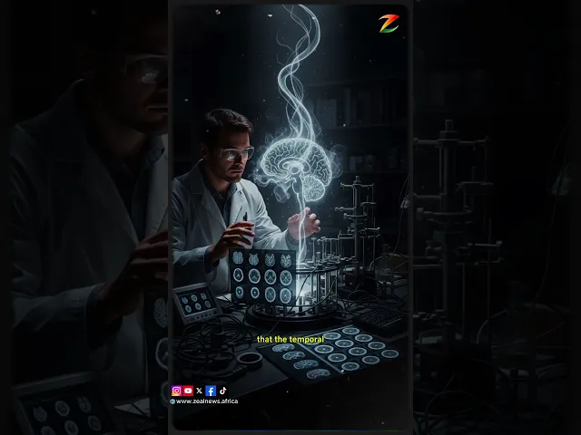 It feels strange, but it's completely normal. #zealnewsafrica #dejavu #brainscience