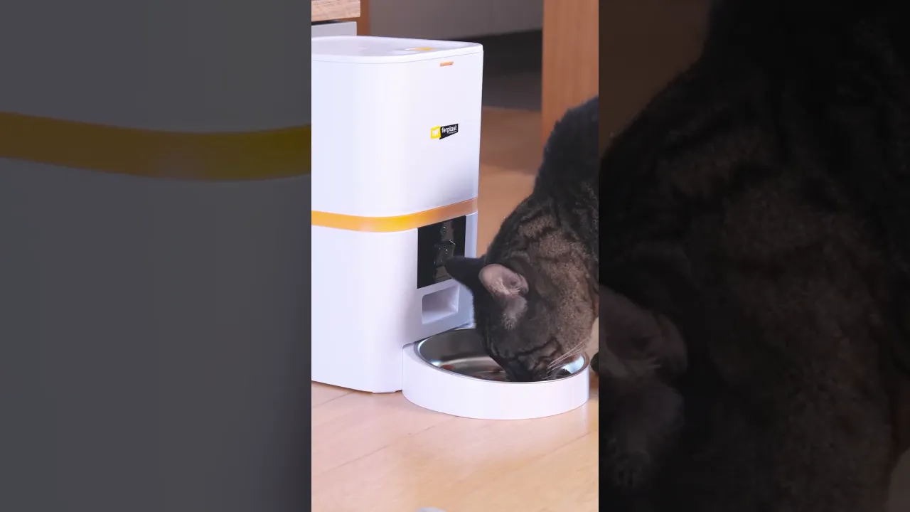 Умная автоматическая кормушка Ferplast Risto Pet Smart Wi-Fi для кошек и собак с таймером и дозатором