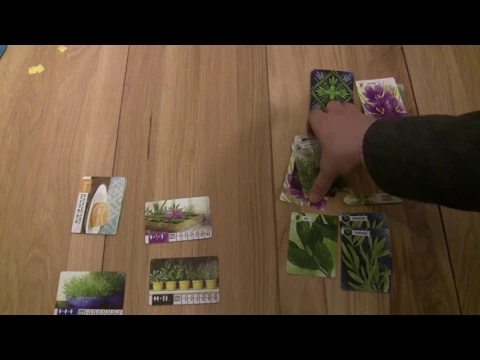 Herbaceous Solo set up and playthrough