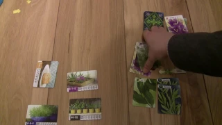 Herbaceous Solo set up and playthrough