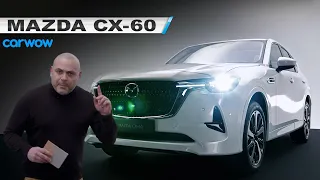 MAZDA CX-60: ASÍ ES EL SUV HÍBRIDO ENCHUFABLE GRANDE de MAZDA: ¿Algo distinto?