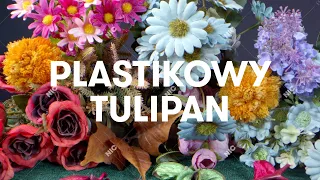 Sokół - Plastikowy tulipan (Official Audio)