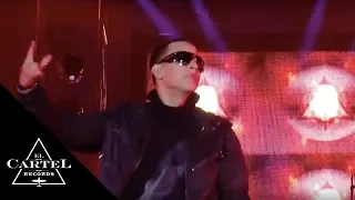 Daddy Yankee de gira en Osorno, Chile [Live]