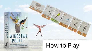 Wingspan Pocket - Board Game Rules - how to play