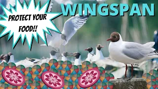 How To Play Against Black Headed Gull: Wingspan Strategy
