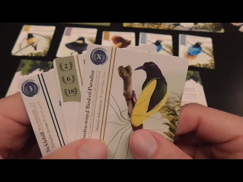 Birdwatcher Review