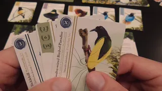 Birdwatcher Review