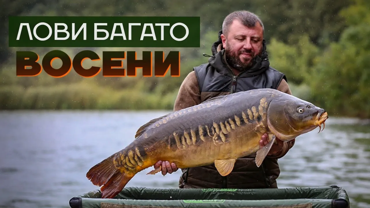 rybalka