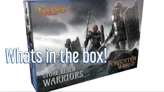 Unboxing Stone Realm Warriors from FireForge