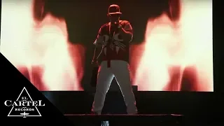 Daddy Yankee | Vivo Madrid 2014 (Live)
