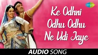 Ke Odhni Odhu Odhu Ne | Audio Song | ઓઢની ઓઢું ઓઢું ને ઊડી જાયે | Alka Yagnik | Paful Dave | Meru M