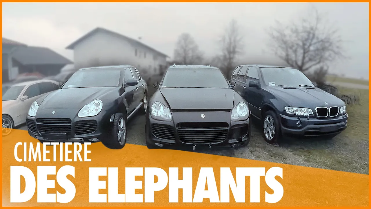 Le cimetière des éléphants