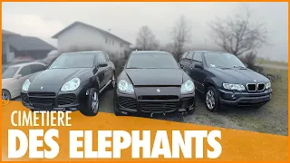 Le cimetière des éléphants