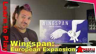 Learn to Play: Wingspan European Expansion