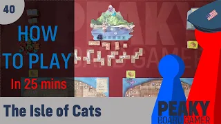 Peaky Boardgamer Episode #40 - The Isle of Cats - How to play (English)
