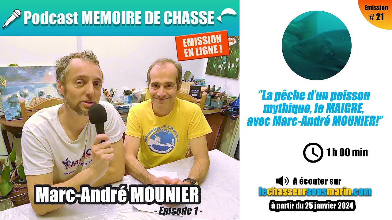 Vignette de la vidéo