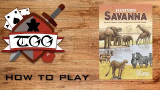 How to Play Ecosystem Savanna Card Game