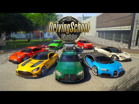 Video Driving School Simulator : Evo