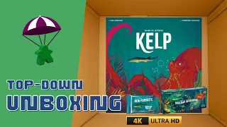 Kelp: Shark vs. Octopus Unboxing (4K) // With Expansions