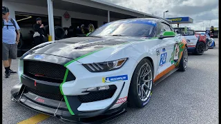 Is the 2020 Ford Mustang GT & Shelby GT350 the BEST Muscle Cars for the track?