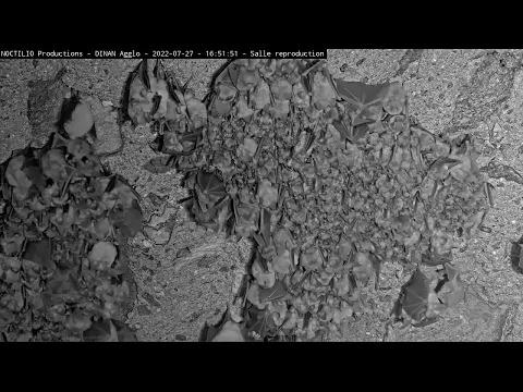 youtube-video-thumbnail