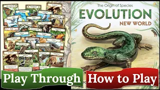 Evolution New World: How to Play & Play Through