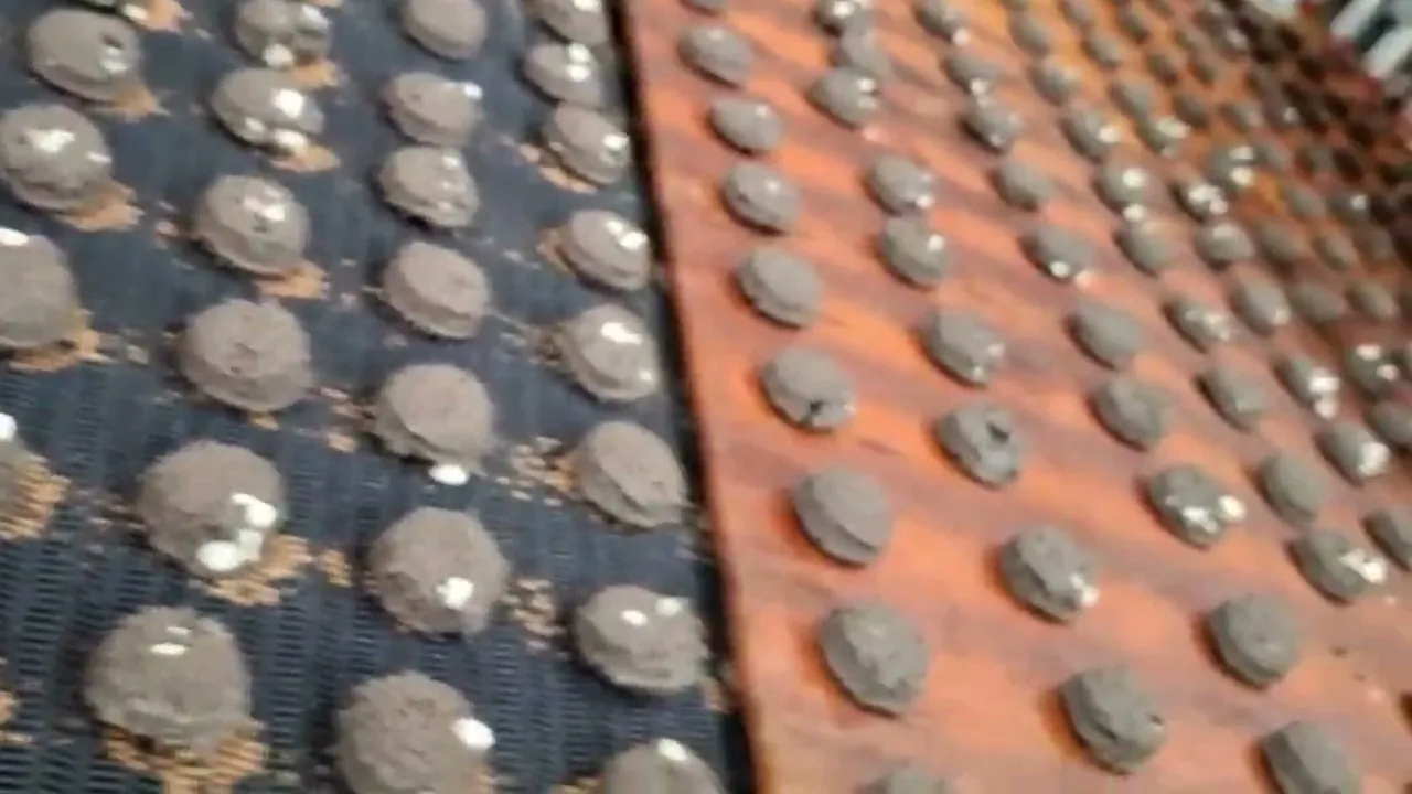 Video de Macas's Cookies