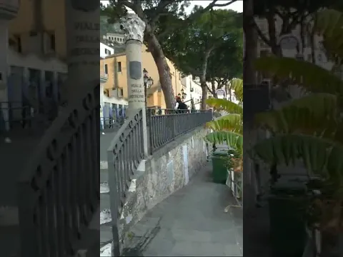 Youtube Preview