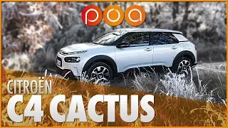 CITROËN C4 CACTUS 2018 : Je veux de la tendresse
