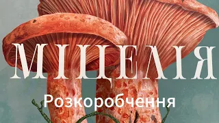 Розпаковка від Ігровий затишок
