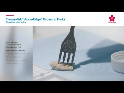youtube-video-thumbnail
