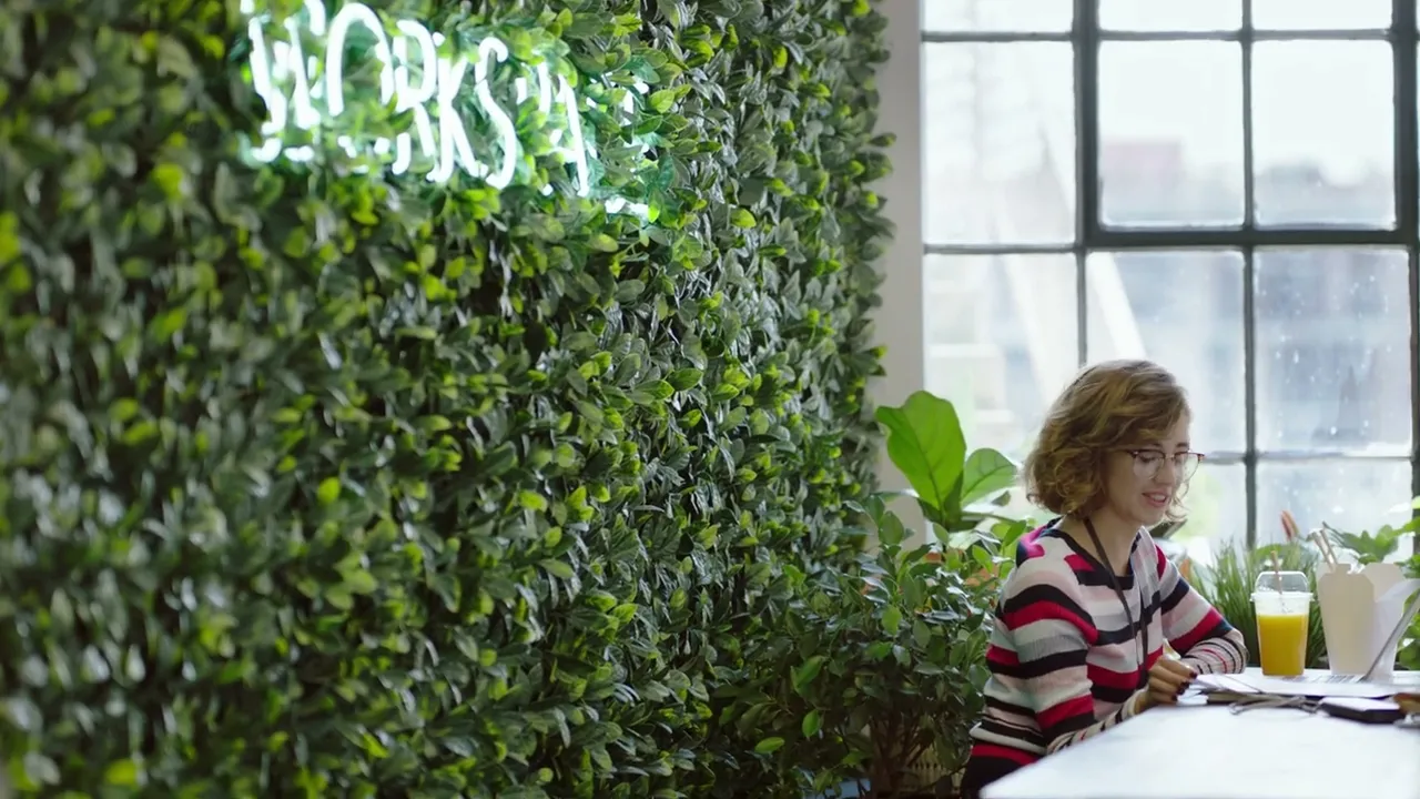 Video de Innova Garden