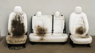 Perfectly Cleaning Tesla's White Interior (Very Easy Steps)