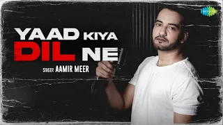 Yaad Kiya Dil Ne | Aamir Meer | Freya Sonii | Sarthak | Nakul | Official Video | Romantic Hindi Song