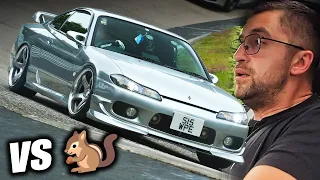 How Did He Survive?! Nissan S15 vs. Nürburgring Squirrel